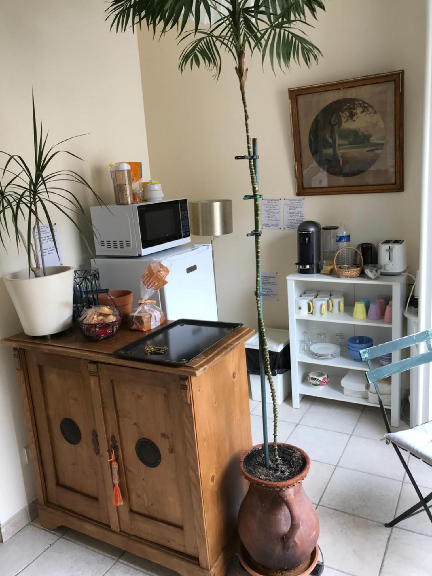 Chambre Japonaise Montpellier Esterno foto
